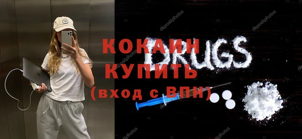 шишки Горнозаводск
