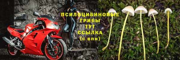 шишки Горнозаводск