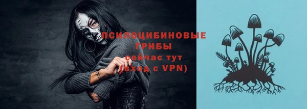 твердый Гусь-Хрустальный