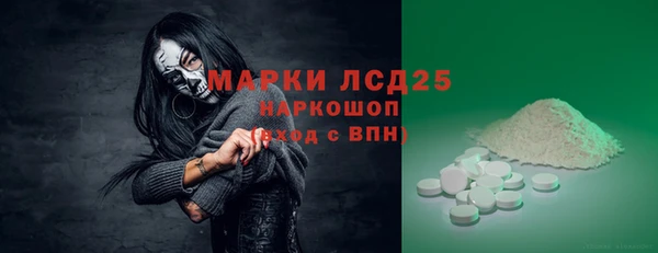 амф Белая Холуница