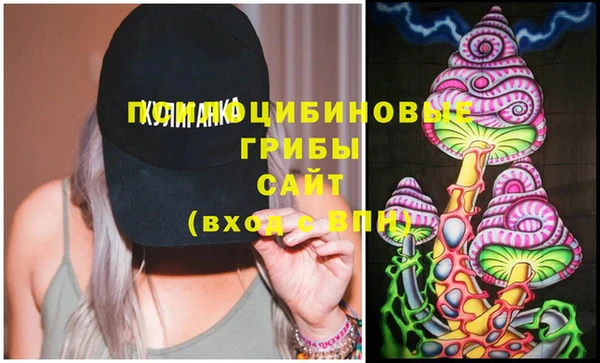 тгк Бежецк