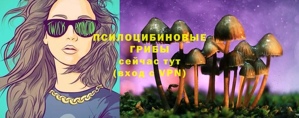 тгк Бежецк